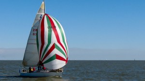 15507783960_59d1939ca8_o