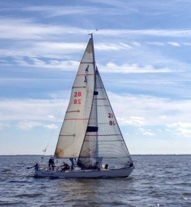 10931179_10205248715404753_8837061151090045936_n