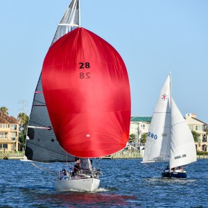 28376718581_203c7732a0_o