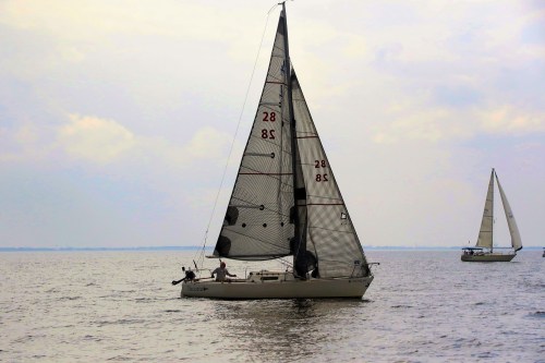 38520798620_2657ebdbfd_o